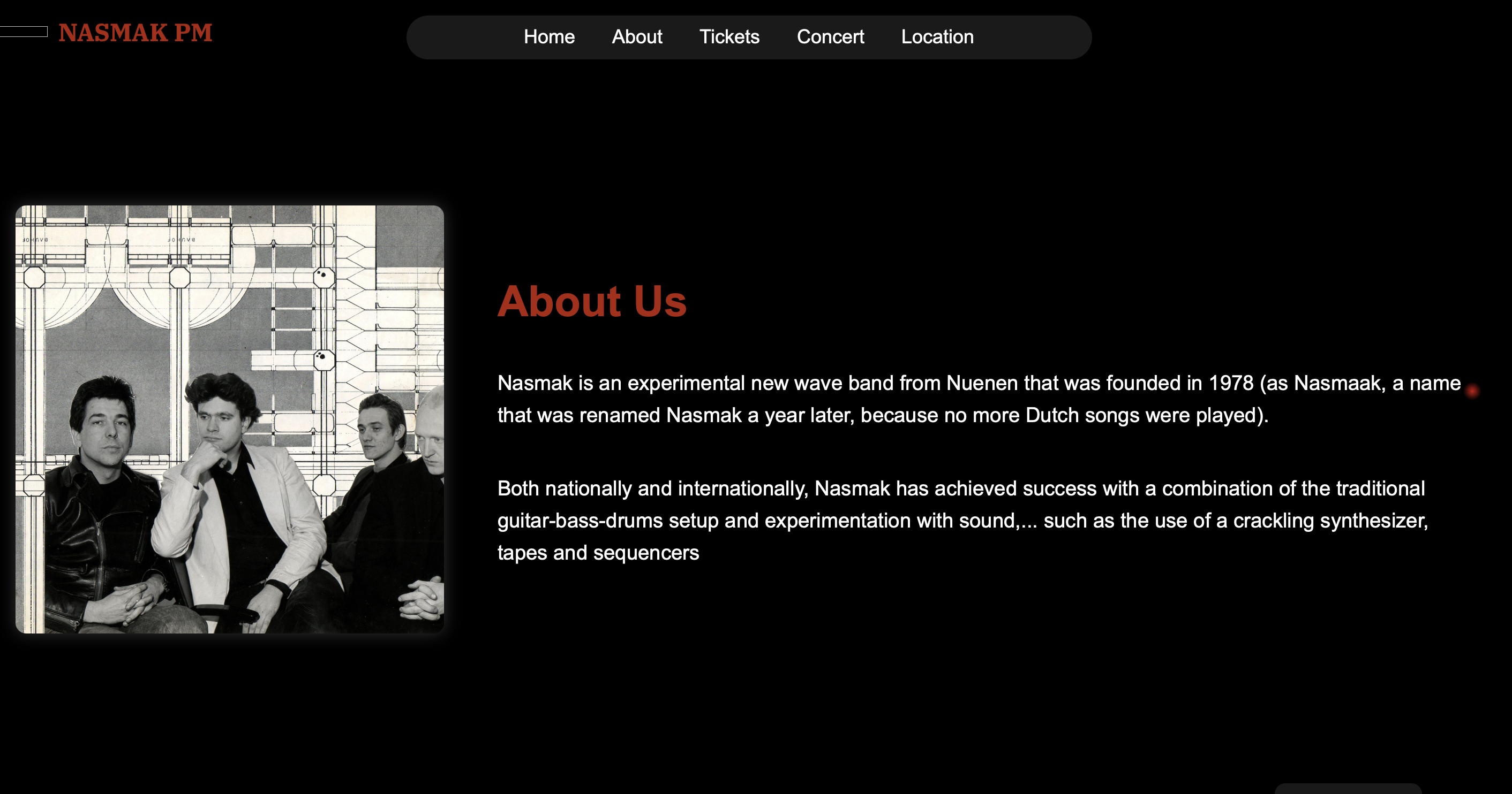 nasmak website design image